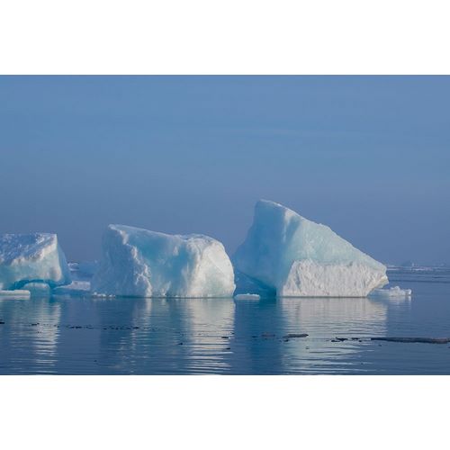 Hopkins, Cindy Miller 아티스트의 Norway-High Arctic Ice landscape with icebergs작품입니다.